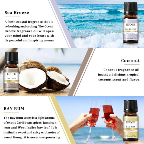 Holiday Island Fragrance Oil Gift Set of 6, Summer Essential Oils for Humidifier, Aromatherapy - 10ml