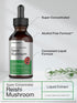 Reishi Mushroom Supplement by Horbaeach | 2 fl oz Liquid Extract | Ganoderma Lucidum Tincture | Vegetarian, Non-GMO,