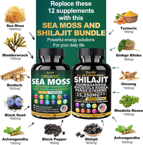 Sea Moss and Shilajit Bundle, 60 Count with Sea Moss, Black Seed Oil, Ashwagandha, Ginger & Shilajit, 2 Pack