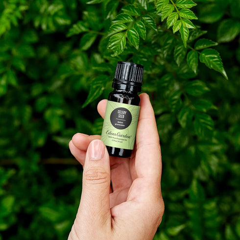 Edens Garden Celery Seed Essential Oil, 100% Pure Therapeutic Grade (Undiluted Natural/Homeopathic Aromatherapy Scented Essential Oil Singles) 10 ml