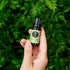Edens Garden Celery Seed Essential Oil, 100% Pure Therapeutic Grade (Undiluted Natural/Homeopathic Aromatherapy Scented Essential Oil Singles) 10 ml