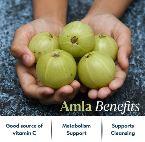 Amla Capsules (Phyllanthus Emblica) – 120 Capsules of Amalaki Amla | Natural Antioxidants Superfood Herbal Supplement