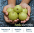Amla Capsules (Phyllanthus Emblica) – 120 Capsules of Amalaki Amla | Natural Antioxidants Superfood Herbal Supplement