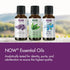 NOW Essential Oils Basil Oil, 100% Pure, Energizing Aromatherapy Scent, 1-Ounce, Vegan, Child Resistant Cap