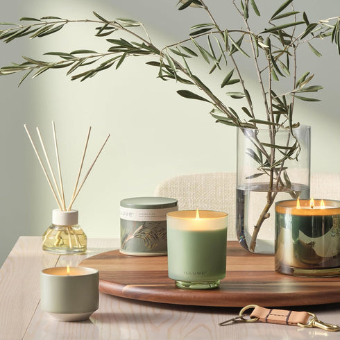 Illume Hinoki Sage Aromatic Diffuser - Beautifully Done Essentials