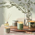 Illume Hinoki Sage Aromatic Diffuser - Beautifully Done Essentials