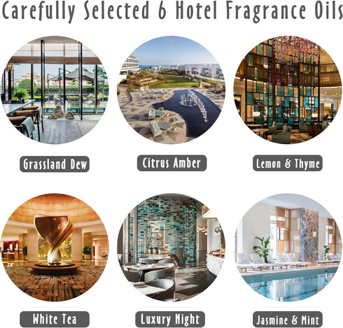 Set, Fragrance Oil, MitFlor Hotel and Woodland Fragrance Oils Soap Candle Making Scents, Essential Oils for Diffusers