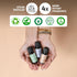 Folkulture Essential Oils for Diffuser - Set of 6 Essential Oils for Candle Making, Summer Soap Making - Frankincense,