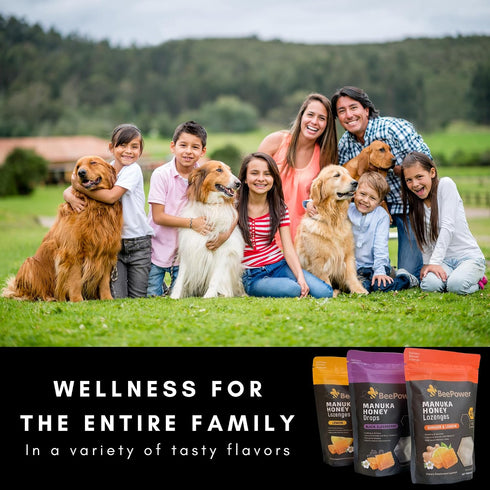 Lozenges 500+ 40 Lozenges 6.7 Oz Bee Power Manuka Honey | MGO Manuka Honey Drops | Contains Ginger Lemon Flavor |