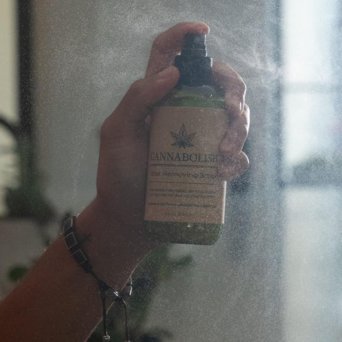Cannabolish Wintergreen Smoke Odor Eliminator Spray and Air Freshener, 8 fl. oz, Natural Ingredients (Pack of 2)