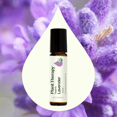 Plant Therapy Organic Lavender Essential Oil - 100% Pure, Pre-Diluted Roll-On, Natural Aromatherapy, Therapeutic Grade