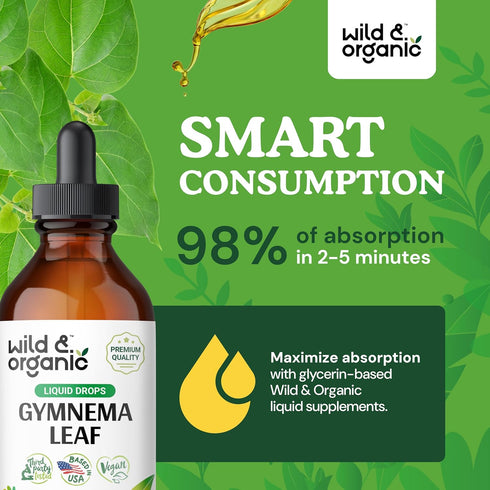 Gymnema Tincture | Sugar-Free Organic Gymnema Sylvestre Drops for Antioxidant Support - 4 Fl Oz