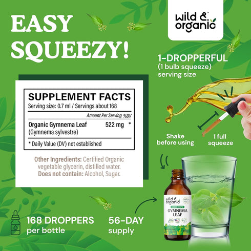 Gymnema Tincture | Sugar-Free Organic Gymnema Sylvestre Drops for Antioxidant Support - 4 Fl Oz