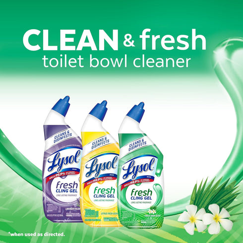 Lysol Toilet Bowl Cleaner Gel ¦ Cleaning and Disinfecting, Stain Removal, Forest Rain Scent, 24oz (Pack of 2)