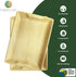 Disposable Palm Leaf 14" x 10" Trays (10 pieces), Eco-Friendly Dinnerware for Weddings, Catering, Events