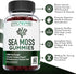 Irish Sea Moss Gummies - 3000MG - Formulated with Irish Sea Moss, Bladderwrack & Burdock Root. Rich in Essential Vitamins & Minerals - Rich in Antioxidants - Advanced Superfood Supplement - 60 Gummies