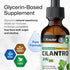 BIO KRAUTER Cilantro Supplement, Rich Source of Antioxidants, Natural Cleansing & Detox Tincture - 2 Fl. Oz.