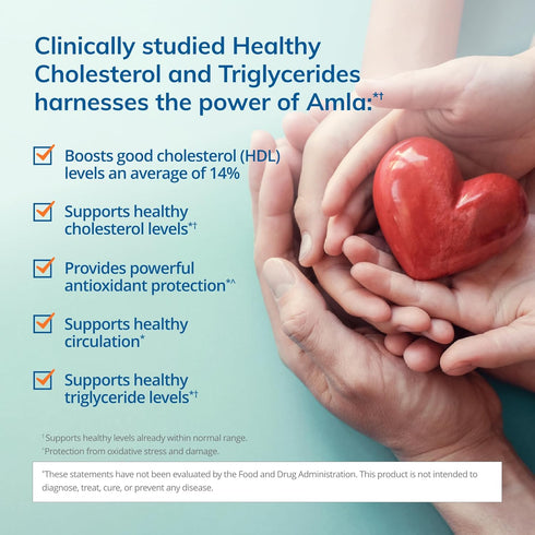 Euromedica Healthy Cholesterol and Triglycerides, 60 Capsules, Supports Healthy HDL & Triglyceride Levels