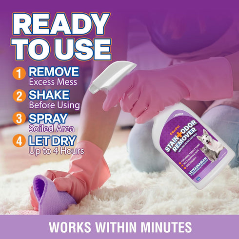 Stain and Odor Remover, 16 oz Ready to Use Spray, Lavender Scented Pet Odor Eliminator for Carpet and Furniture