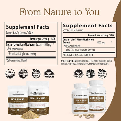 Lion’s Mane Powder - Organic Mushroom Extract with Antioxidants & Immunomodulating Properties - Vegan Supplement, 60