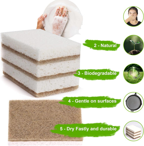 Natural Dish Sponges 16 Pack - Biodegradable Sponge Kitchen Compostable Cellulose Coconut Scrubber - No Scratch Cleaning Sponges by hasumcol