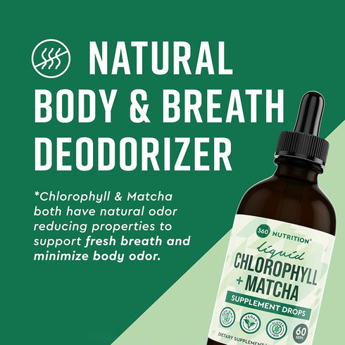 360 Nutrition Matcha Chlorophyll Liquid Drops - Gluten Free & Vegan Supplement for Gut Health, 60 Servings
