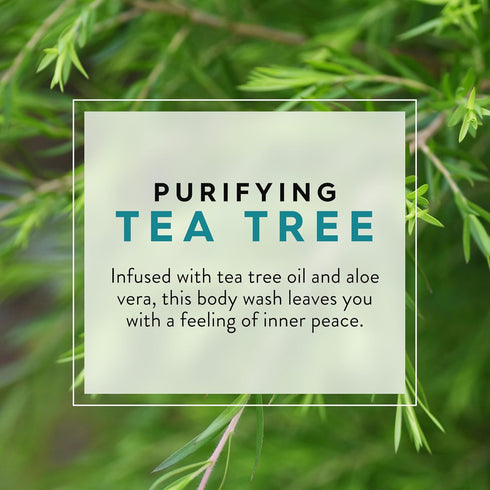 JASON Tea Tree Purifying Body Wash, 30 Fluid Ounces