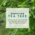 JASON Tea Tree Purifying Body Wash, 30 Fluid Ounces