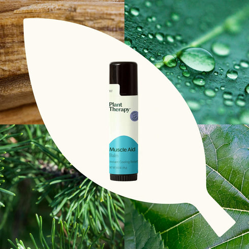 Plant Therapy Muscle Aid Synergy Pre-Diluted Roll-On 10 mL (1/3 oz), 100% Pure, Therapeutic Grade