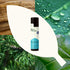 Plant Therapy Muscle Aid Synergy Pre-Diluted Roll-On 10 mL (1/3 oz), 100% Pure, Therapeutic Grade
