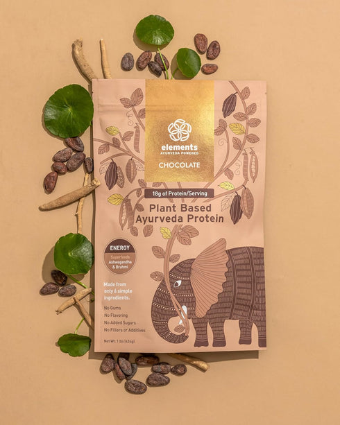 Elements Plant Based Vegan Chocolate Protein Powder, 1lb, Meal Replacement Shake, Keto, Non-GMO