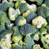 Earthborn Elements Broccoli Extract, 200 Capsules, Pure & Undiluted with No Additives