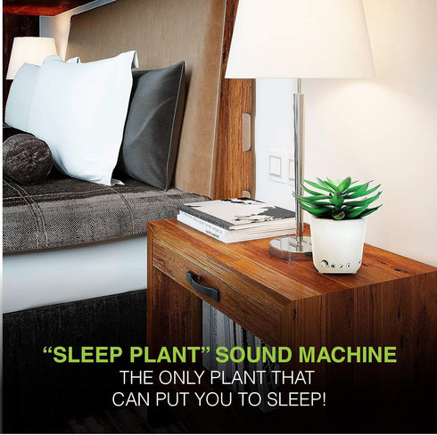 Sleep Plant Sound Machine - Fan Sounds - White Noise - Nature Sounds