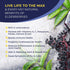 Organic Elderberry Syrup - 60 Day Supply Liquid Drops for Immune Support - Extra Strength (2 Pack)