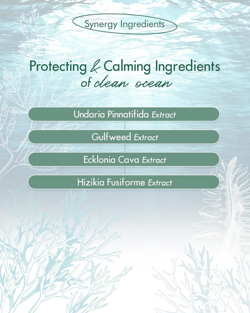 SKINCURE Vegan Seaweed Mud Mask (3.5oz) - Pore Detoxifying Face Clay Mask for Sensitive Skin, Oil Control