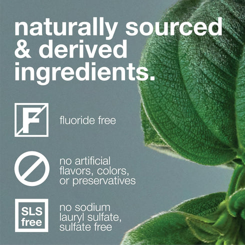 Davids Fluoride Free Toothpaste, Teeth Whitening, Antiplaque, Natural Spearmint, 5.25oz, Made in USA