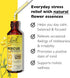 Bach RESCUE REMEDY Dropper 20mL - Natural Stress Relief, Homeopathic Flower Essence