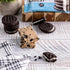 Quest Nutrition Cookies & Cream Protein Bars - 21g Protein, 1g Sugar, 4g Net Carb, Gluten Free, Keto Friendly, 12 Count