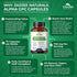 Zazzee Extra Strength Alpha GPC Choline, 700 mg, 75 Vegan Capsules, 100% Pure Pharmaceutical Grade