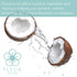 Radiant Skin Boosting Vitamin C & Coconut Oil Face Serum | 2oz | The Coco C Serum with Jojoba, Aloe, Biotin, and Vegetable Collagen | Anti-Aging Formula