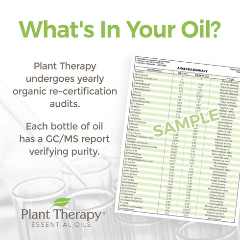Plant Therapy Organic Lavender Fine 10 mL (1/3 oz) - 100% Pure USDA Certified, Therapeutic Grade