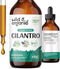 Cilantro Tincture | Vegan Detox Cleanse Supplement with Organic Cilantro Leaf, Alcohol-Free Drops - 4 Oz