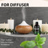 Peppermint Essential Oil by Fiora Naturals, 100% Pure Mentha Piperita Oil for Hair Growth, Skin, and Candle Making