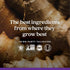 New Chapter Men's Multivitamin for Immune, Stress, Heart + Energy Support - Every Man's One Daily, Non-GMO, Gluten Free