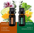 Pure Daily Care Aromatherapy Top 10 Essential Oil Synergy Blend Set - 10 x 10 ml Blends, Therapeutic Grade