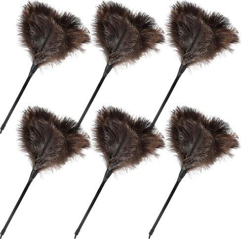 Ostrich Feather Duster Mini, Natural Fluffy Soft with Plastic Handle, Eco-Friendly Washable, 6pcs