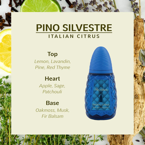 Pino Silvestre Italian Citrus Perfume for Men - Woody, Aromatic Scent - Blended with Lemon, Pine, Apple, Patchouli, and Musk - for Calm, Collective Gentlemen - 4.2 oz EDT Spray