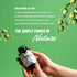 Olive Leaf Extract Capsules - Super Strength 40% Oleuropein for Blood Flow Support and Antioxidant Boost (60 Capsules)