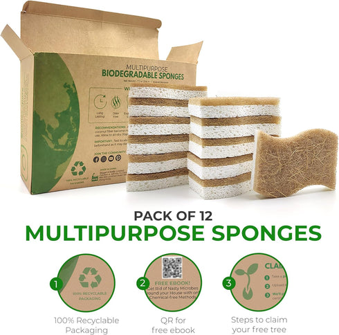 Pack 12 AIRNEX Natural Kitchen Sponge - Biodegradable Compostable Cellulose and Coconut Scrubber Sponge - of Eco