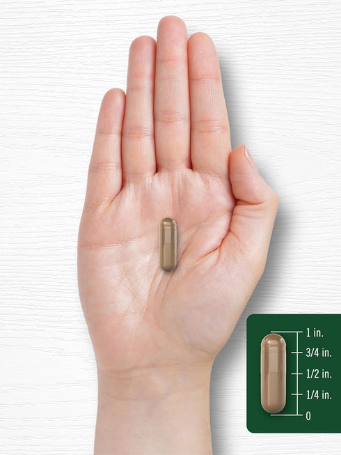 Carlyle Olive Leaf Extract Capsules, 9000mg, 100 Count, Non-GMO, Gluten Free High Potency Supplement